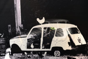 Exposition rétrospective : "Thierry des Ouches, 35 ans de photographie". Hôtel du Département de Vendée, La Roche sur Yon, France. © Raoul Dobremel