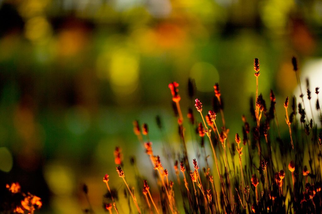 Architectural Lighting, creative and low-consumption, SCR Headquarters, Paris, France. © Les Petits Français