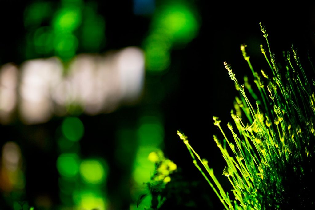 Architectural Lighting, creative and low-consumption, SCR Headquarters, Paris, France. © Les Petits Français