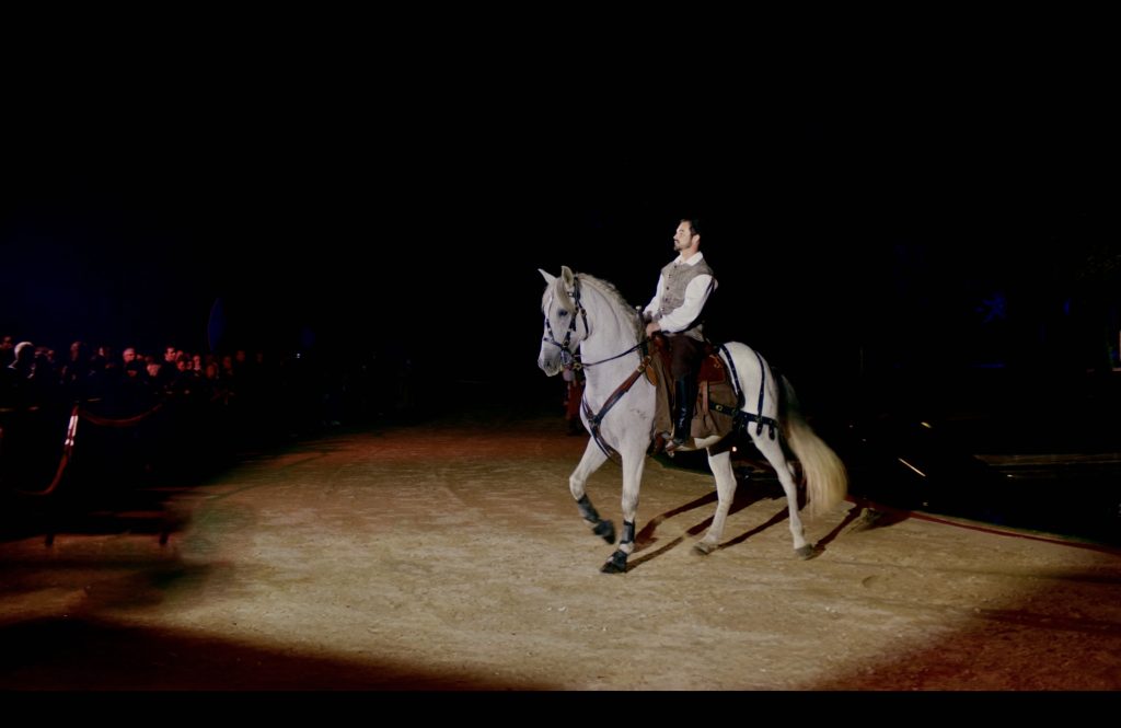 La Nuit des Jardins – Spectacle au Domaine de Dampierre-en-Yvelines